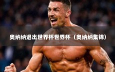 奥纳纳退出世界杯世界杯（奥纳纳集锦）