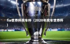 fia世界杯房车杯（2020年房车世界杯）