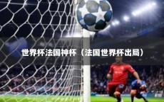 世界杯法国神杯（法国世界杯出局）