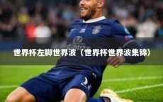 世界杯左脚世界波（世界杯世界波集锦）