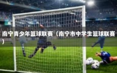 南宁青少年篮球联赛（南宁市中学生篮球联赛）