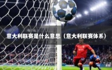 意大利联赛是什么意思（意大利联赛体系）