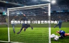 世界杯抖音杯（抖音世界杯神曲）