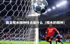 国足樱木精神特点是什么（樱木的精神）