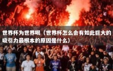 世界杯为世界喝（世界杯怎么会有如此巨大的吸引力最根本的原因是什么）