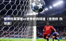 世界杯真球迷vs世界杯伪球迷（世界杯 伪球迷）