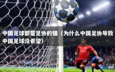 中国足球都是足协的错（为什么中国足协导致中国足球没希望）