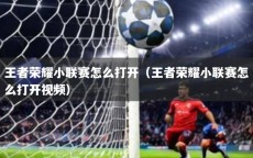 王者荣耀小联赛怎么打开（王者荣耀小联赛怎么打开视频）