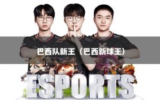 巴西队新王（巴西新球王）