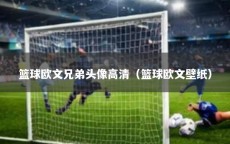 篮球欧文兄弟头像高清（篮球欧文壁纸）