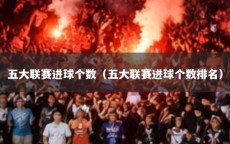 五大联赛进球个数（五大联赛进球个数排名）