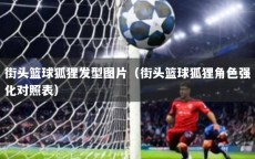 街头篮球狐狸发型图片（街头篮球狐狸角色强化对照表）