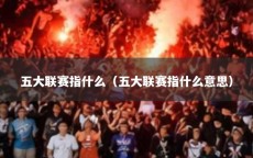 五大联赛指什么（五大联赛指什么意思）