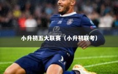 小升初五大联赛（小升初联考）