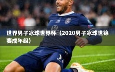 世界男子冰球世界杯（2020男子冰球世锦赛成年组）