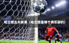 哈兰德五大联赛（哈兰德是哪个俱乐部的）