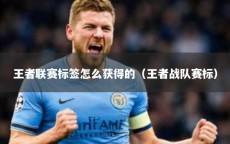 王者联赛标签怎么获得的（王者战队赛标）