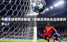 中国足球青训大联盟（中国足球协会足球青训中心）