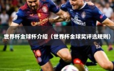 世界杯金球杯介绍（世界杯金球奖评选规则）