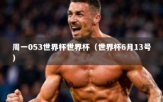 周一053世界杯世界杯（世界杯6月13号）