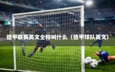 德甲联赛英文全称叫什么（德甲球队英文）