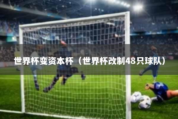 世界杯变资本杯(世界杯改制48只球队)