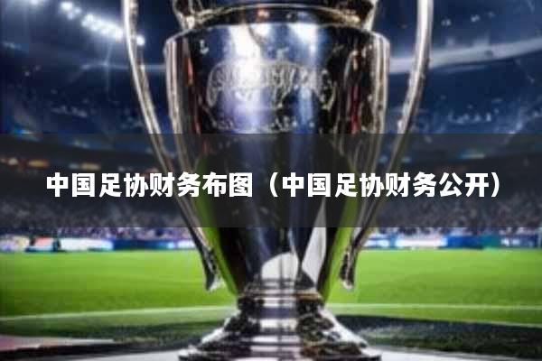 中国足协财务布图(中国足协财务公开)