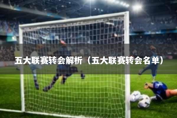 五大联赛转会解析(五大联赛转会名单)