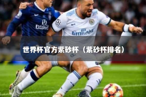 世界杯官方紫砂杯(紫砂杯排名)